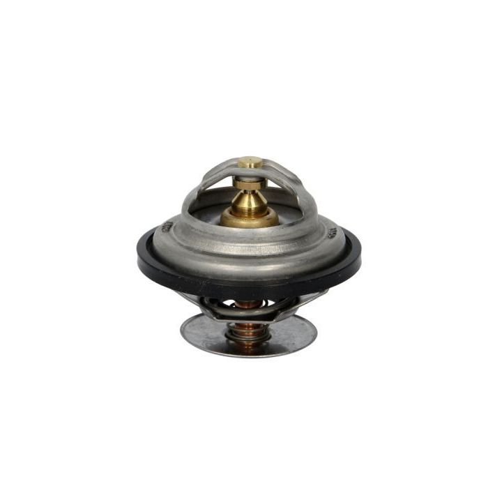 Termostatas, aušinimo skystis THERMOTEC D2ME002TT