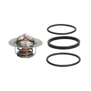 Termostatas, aušinimo skystis THERMOTEC D2R003TT