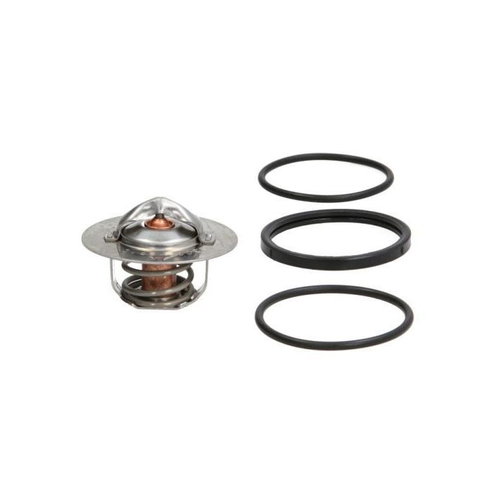 Termostatas, aušinimo skystis THERMOTEC D2R003TT