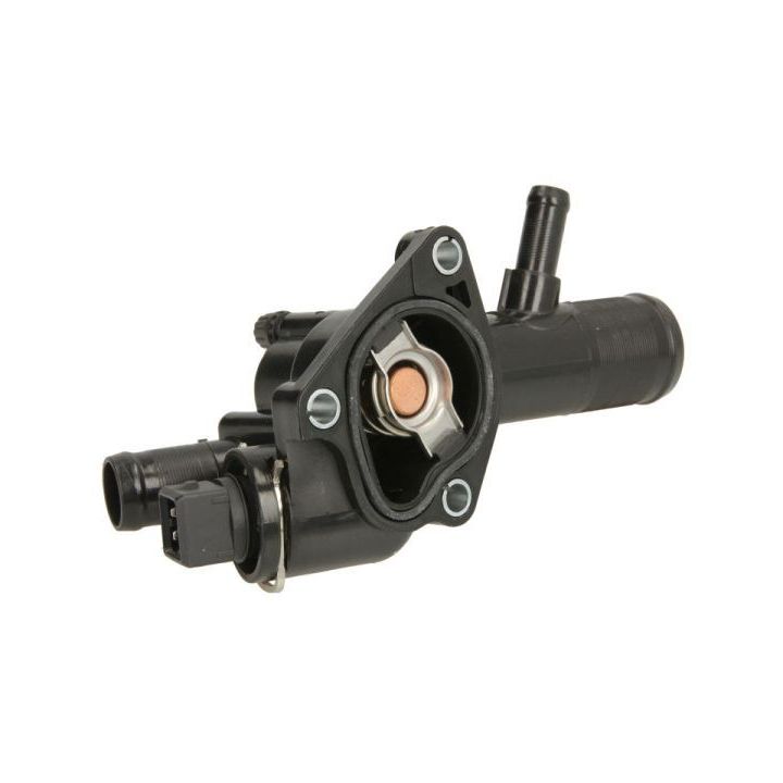 Termostatas, aušinimo skystis THERMOTEC D2R006TT