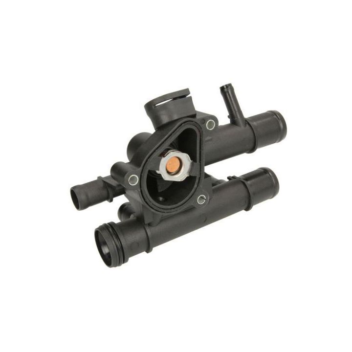 Termostatas, aušinimo skystis THERMOTEC D2R007TT