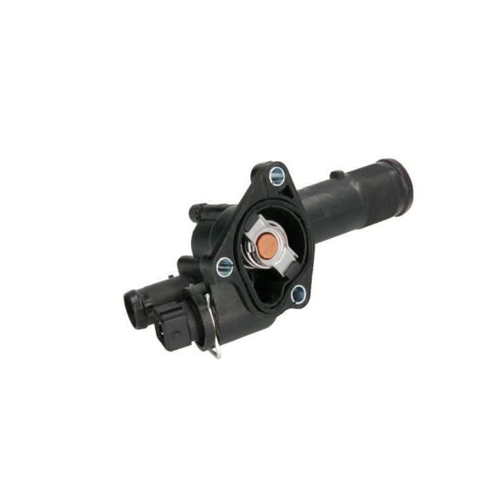 Termostatas, aušinimo skystis THERMOTEC D2R012TT