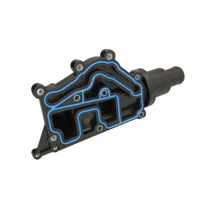 Termostatas, aušinimo skystis THERMOTEC D2R013TT