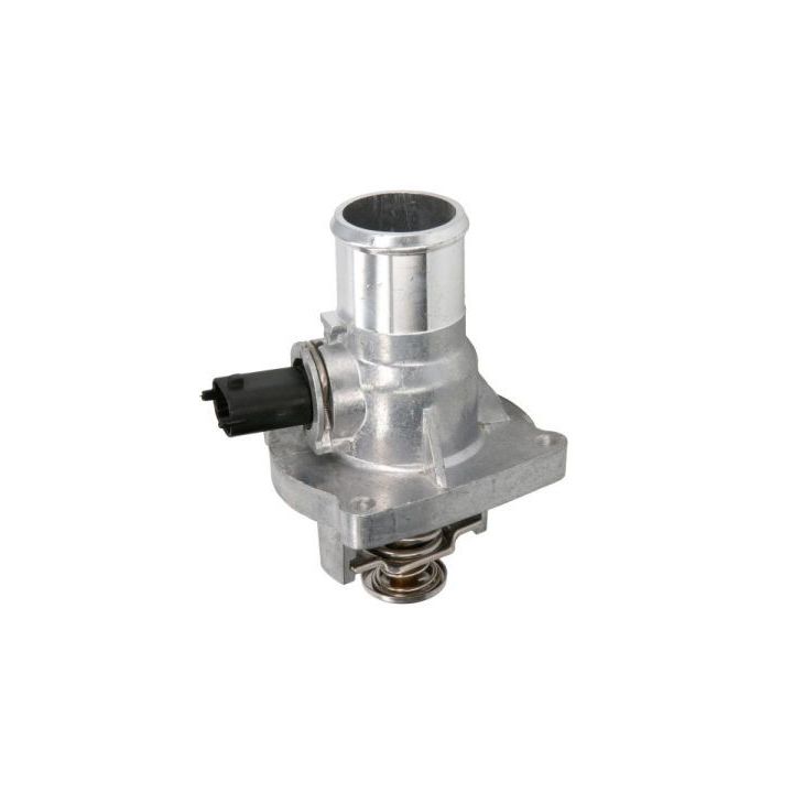 Termostatas, aušinimo skystis THERMOTEC D2X015TT