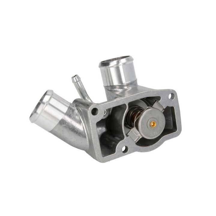 Termostatas, aušinimo skystis THERMOTEC D2X025TT