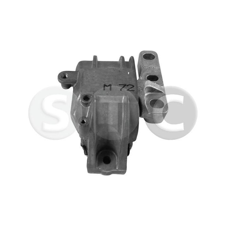 Variklio montavimas STC T457765
