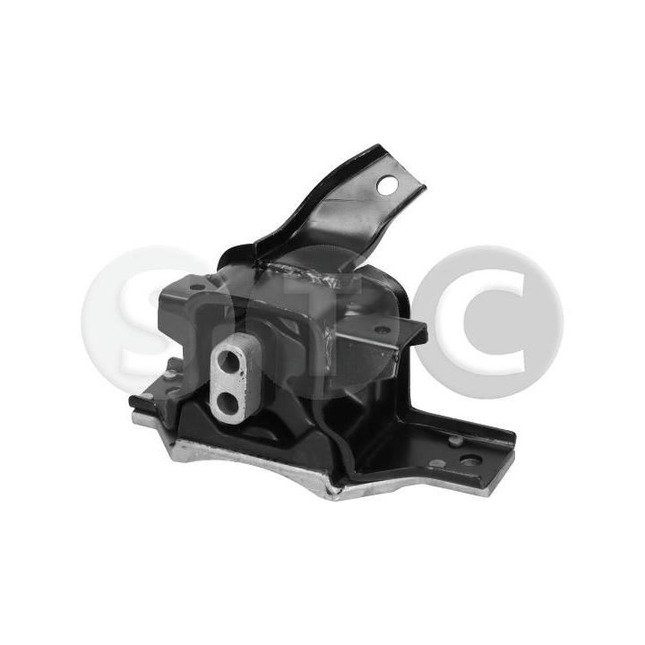 Variklio montavimas STC T460021