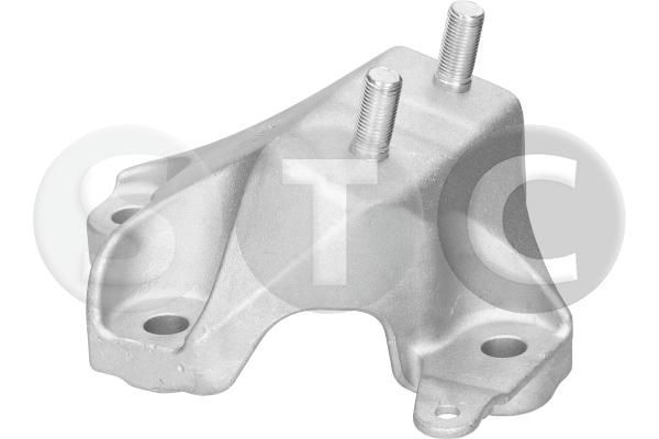 Variklio montavimas STC T460031