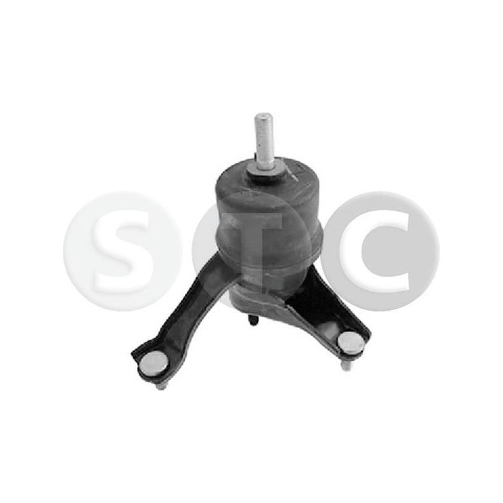 Variklio montavimas STC T460047