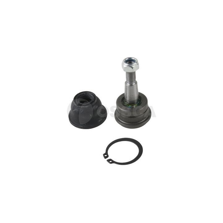 Šarnyras / girgždukas OSSCA 20673