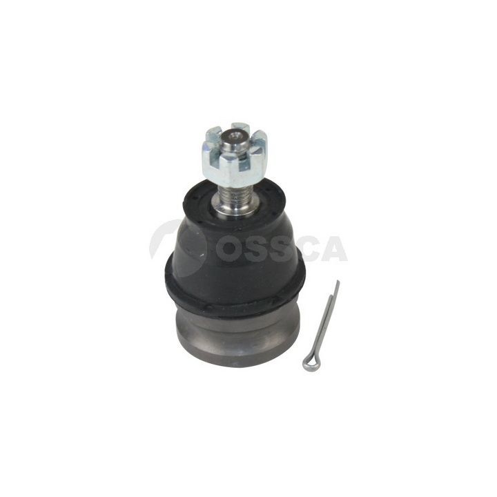 Šarnyras / girgždukas OSSCA 20677