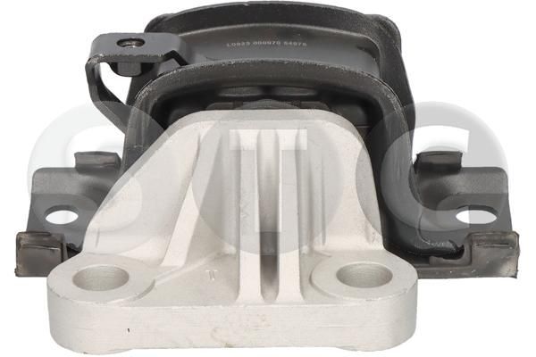 Montavimas, neautomatinė transmisija STC T454978