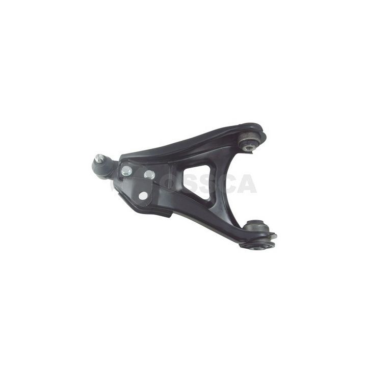 Šarnyras / girgždukas OSSCA 33219