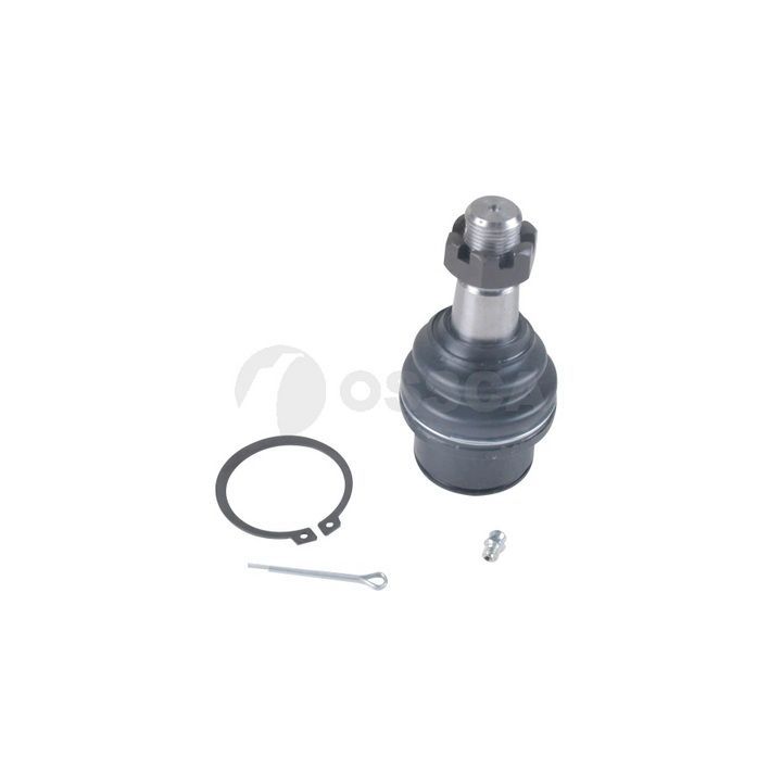 Šarnyras / girgždukas OSSCA 61244