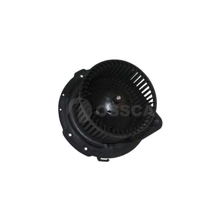 Vidaus pūtiklis OSSCA 00901