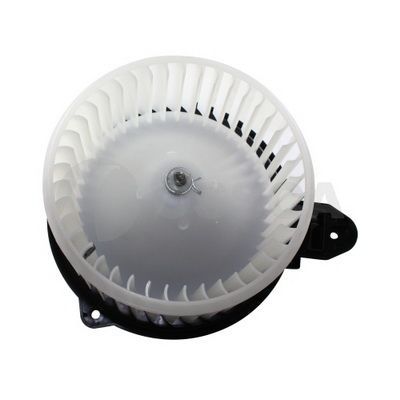 Vidaus pūtiklis OSSCA 06343