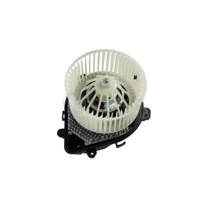 Vidaus pūtiklis OSSCA 10404