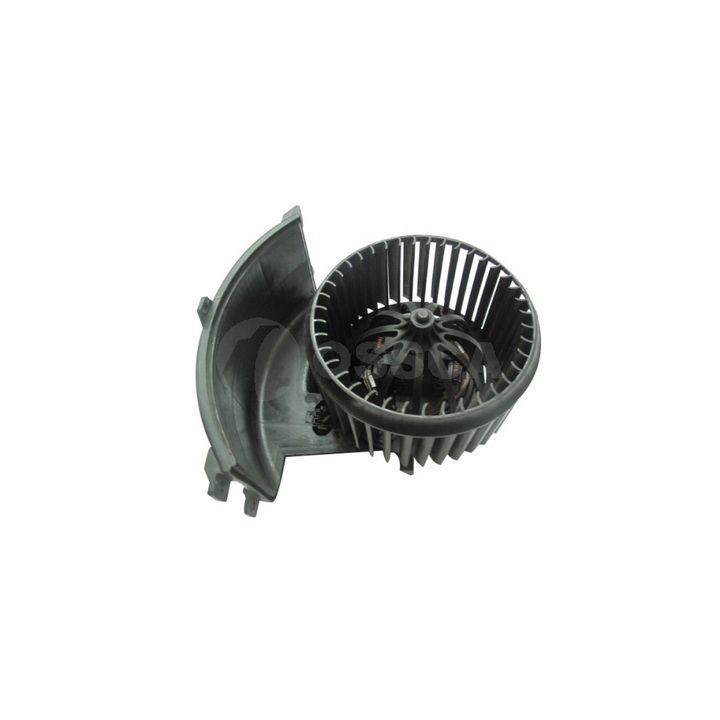 Vidaus pūtiklis OSSCA 11831