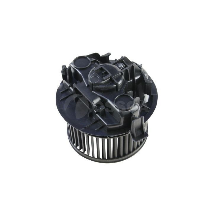 Vidaus pūtiklis OSSCA 14756