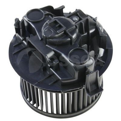 Vidaus pūtiklis OSSCA 14756