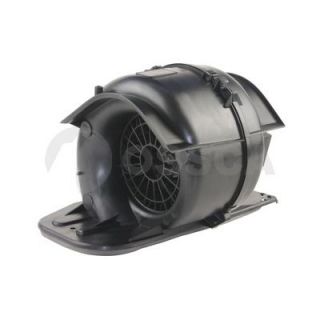 Vidaus pūtiklis OSSCA 19399