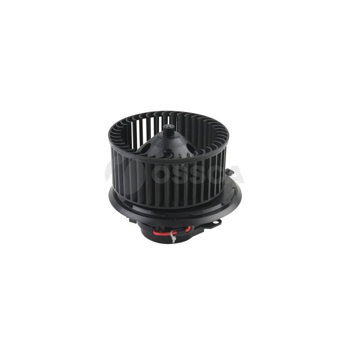 Vidaus pūtiklis OSSCA 19400