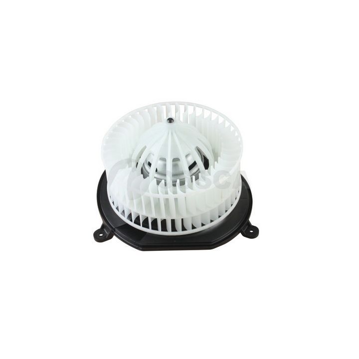 Vidaus pūtiklis OSSCA 23247