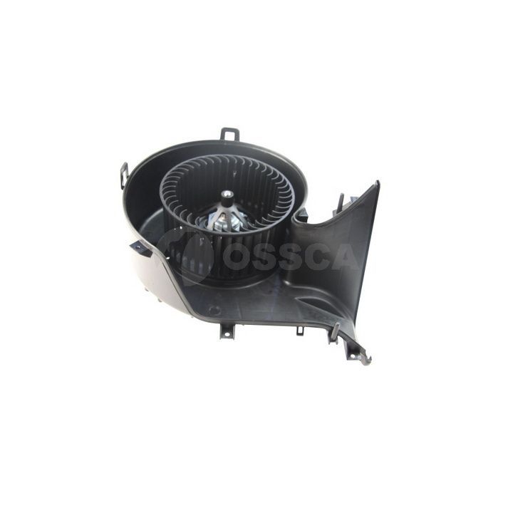 Vidaus pūtiklis OSSCA 29217