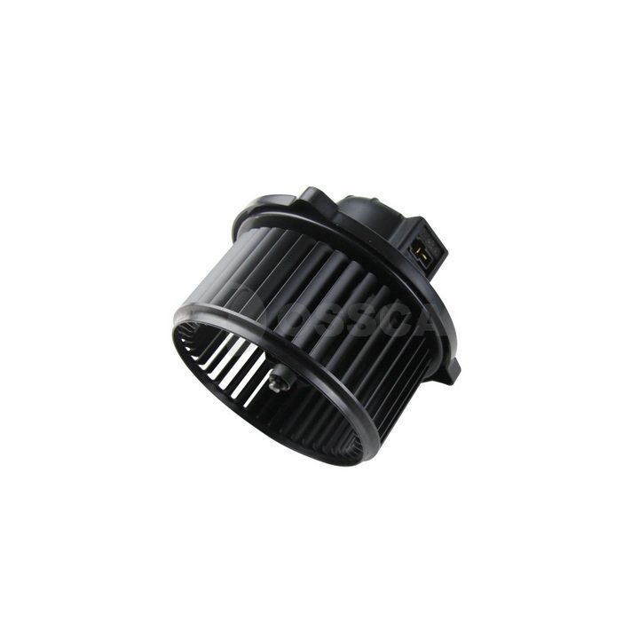 Vidaus pūtiklis OSSCA 40540