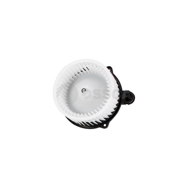 Vidaus pūtiklis OSSCA 40541