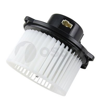 Vidaus pūtiklis OSSCA 40542