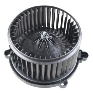 Vidaus pūtiklis OSSCA 48074