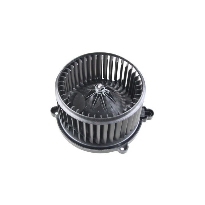 Vidaus pūtiklis OSSCA 48074