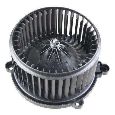 Vidaus pūtiklis OSSCA 48074