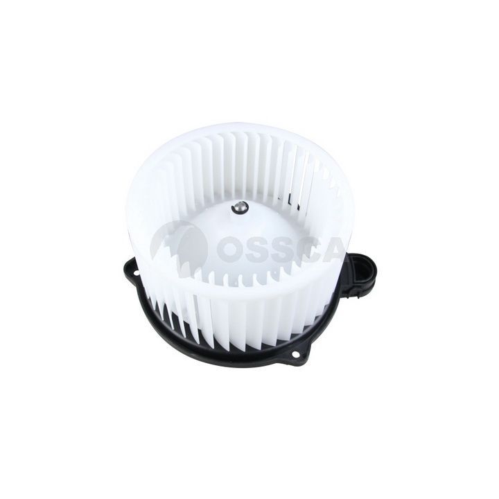 Vidaus pūtiklis OSSCA 48075