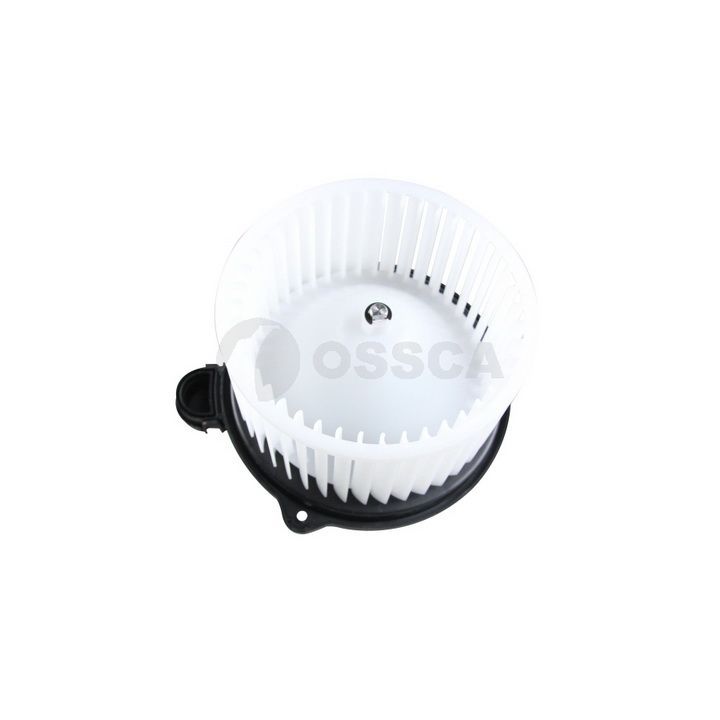 Vidaus pūtiklis OSSCA 48076