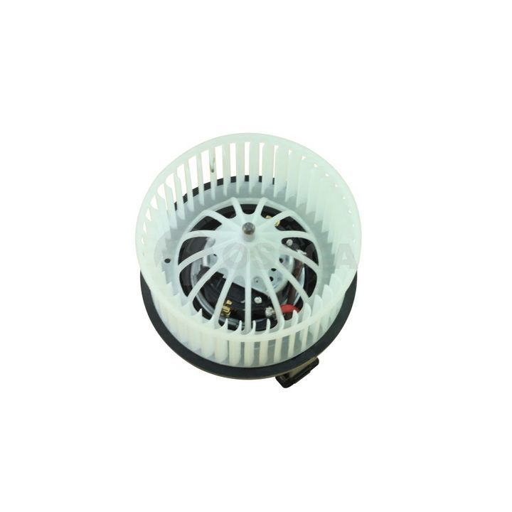 Vidaus pūtiklis OSSCA 49759