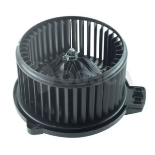 Vidaus pūtiklis OSSCA 69322