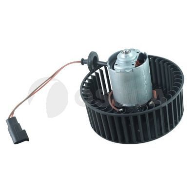 Vidaus pūtiklis OSSCA 76442