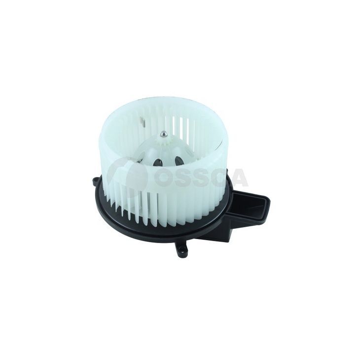 Vidaus pūtiklis OSSCA 77480