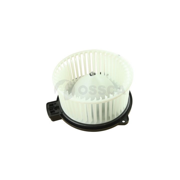 Vidaus pūtiklis OSSCA 78990