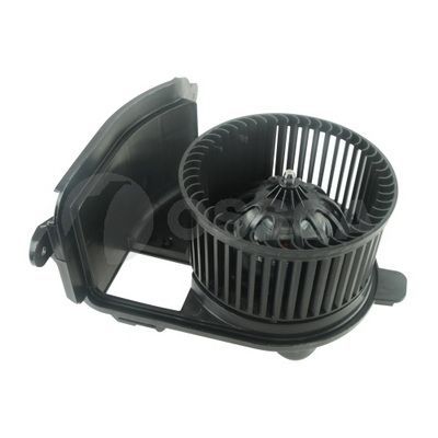 Vidaus pūtiklis OSSCA 79165