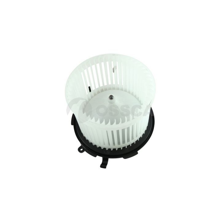 Vidaus pūtiklis OSSCA 83519