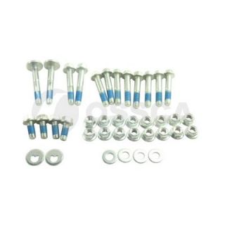 Išvirtimo reguliavimo varžtas OSSCA 44183