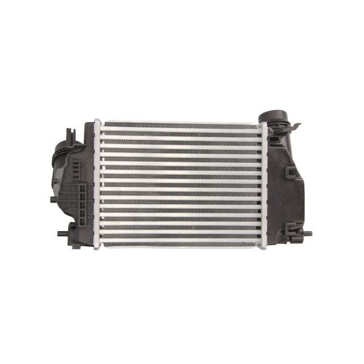 Tarpinis suslėgto oro aušintuvas, kompresorius THERMOTEC DA1005TT