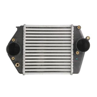 Tarpinis suslėgto oro aušintuvas, kompresorius THERMOTEC DA3002TT