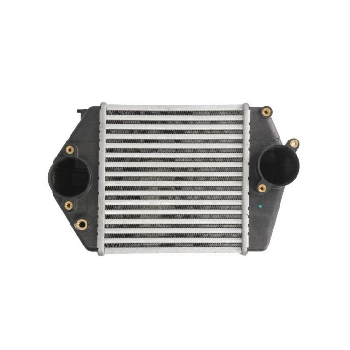 Tarpinis suslėgto oro aušintuvas, kompresorius THERMOTEC DA3002TT