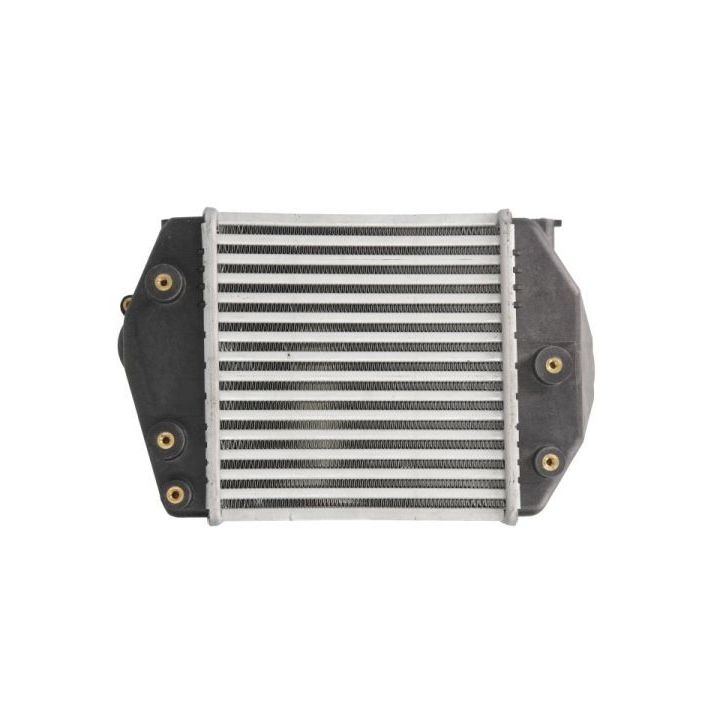 Tarpinis suslėgto oro aušintuvas, kompresorius THERMOTEC DA3002TT