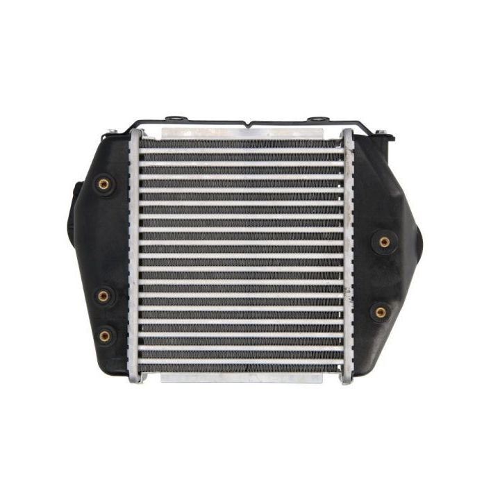 Tarpinis suslėgto oro aušintuvas, kompresorius THERMOTEC DA3004TT