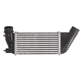 Tarpinis suslėgto oro aušintuvas, kompresorius THERMOTEC DAC006TT